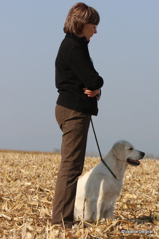 Field Erstein 09 (125).JPG